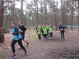 Bosloop Brecht - 04.jpg